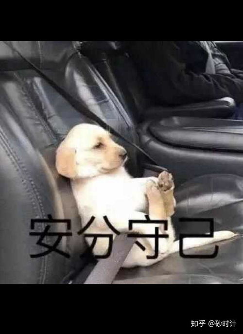 膜拜表情包大佬