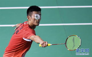 高清组图全运会羽毛球男子单打,谌龙出局新华网体育 高清组图全运会羽毛球男子单打,谌龙出局新华网体育
