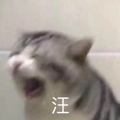  你们能理解cp文吗
