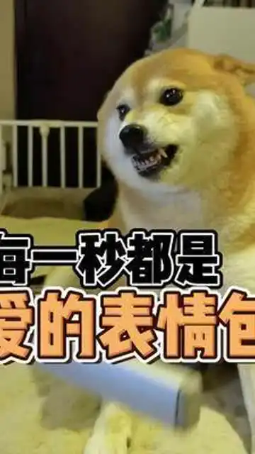 粉丝回馈,大量表情包袭来,你们做好被爆锤的准备了吗爱你爱你不上火 粉丝回馈,大量表情包袭来,你们做好被爆锤的准备了吗爱你爱你不上火