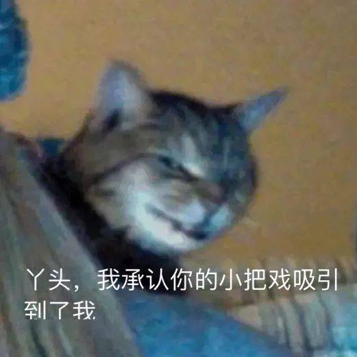  微信沙雕聊天表情包说吧加哪个