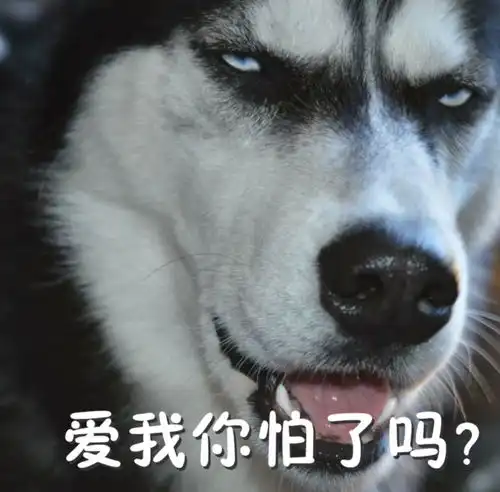 那个火遍朋友圈的单身狗,终终终终终终终于结婚了 那个火遍朋友圈的单身狗,终终终终终终终于结婚了