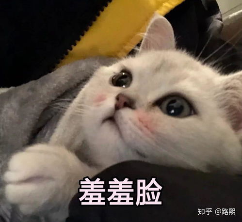  情侣之间可以怎么闹着玩