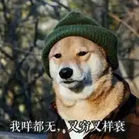  狗亲你一口表情包微信头像图片大全