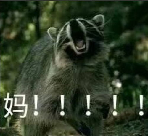  妈妈再爱我一次