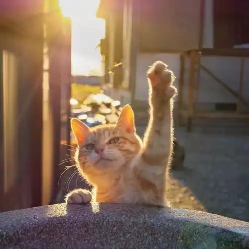 这个纪录片告诉你为什么工厂很少放假 这个纪录片告诉你为什么工厂很少放假