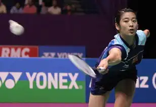 2010年巴黎世界羽毛球锦标赛精彩图片组图7 2010年巴黎世界羽毛球锦标赛精彩图片组图7