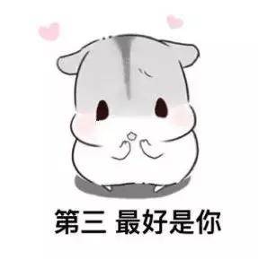  小仓鼠撩妹表情包你知道我择偶的标准吗