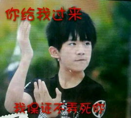  你给我过来,我保证不弄死你