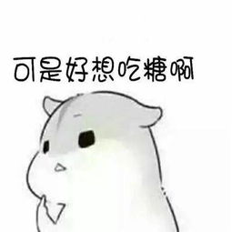  小仓鼠表情包再闹卖了你,把你卖了买糖吃