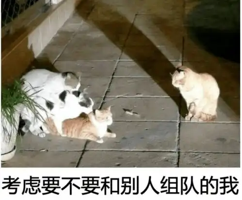 1亿人疯转养猫互助,人气超过王者荣耀为了抢几块钱,真不闲累么 1亿人疯转养猫互助,人气超过王者荣耀为了抢几块钱,真不闲累么
