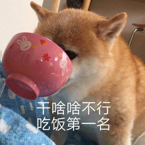  表情包我喝口水再骂你