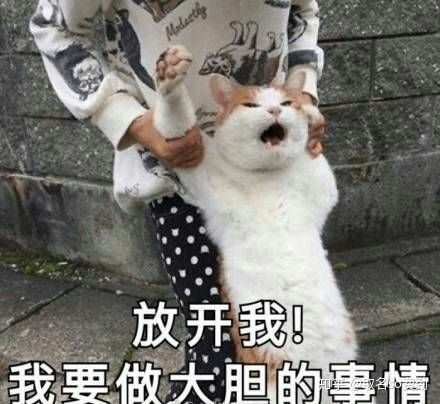  怎么评价邓智华的大国民