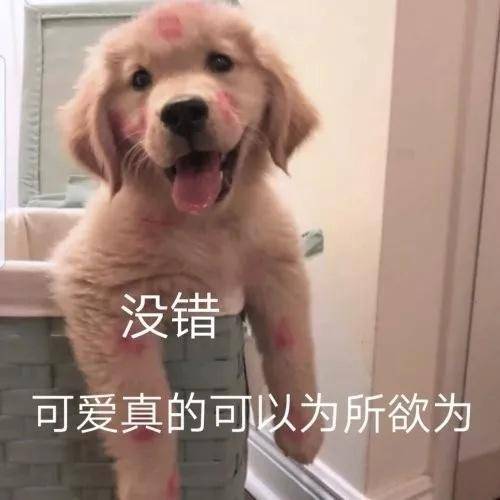  30条朋友圈被秒赞的文案我频繁记录着,因为觉得生活值得
