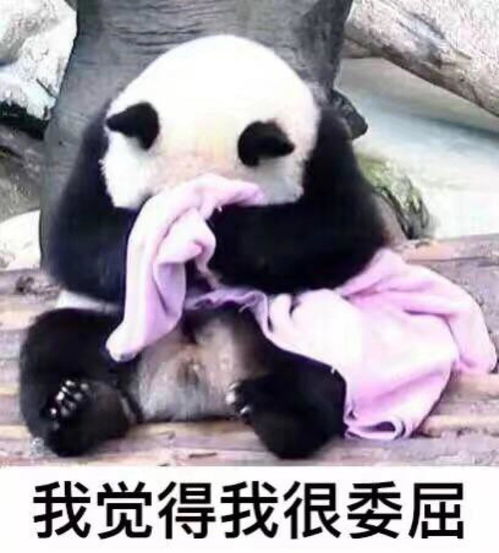 假如龙泉5天没有城管,生活会是怎样结果很意外 假如龙泉5天没有城管,生活会是怎样结果很意外