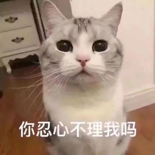  抖音最火表情包小白人表情包图片大全下载0705期