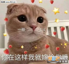  看看我爱的人在不在表情包图片你再这样我就嫁给你哦表情包下载乐游网游戏下载