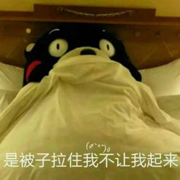  2016年qq微信表情包图片大全聊天斗图必备表情包下载