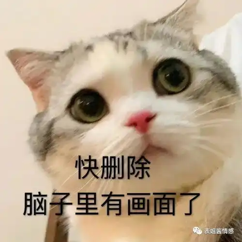 快拿掉表情包掉了