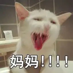 老妈表情包猫妈