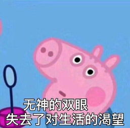  你的表情包该换血了保证你出门斗图再也不输