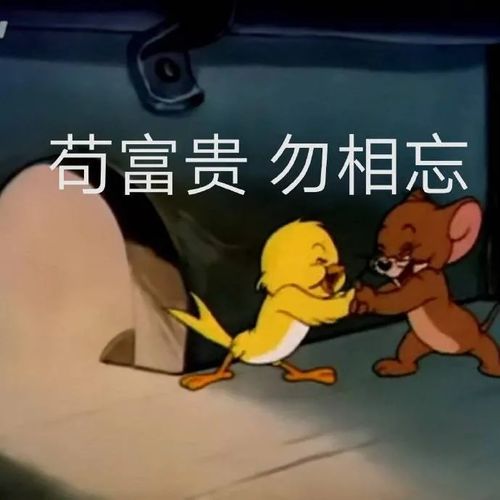 表情包睡不着在等一个人的晚安 表情包睡不着在等一个人的晚安