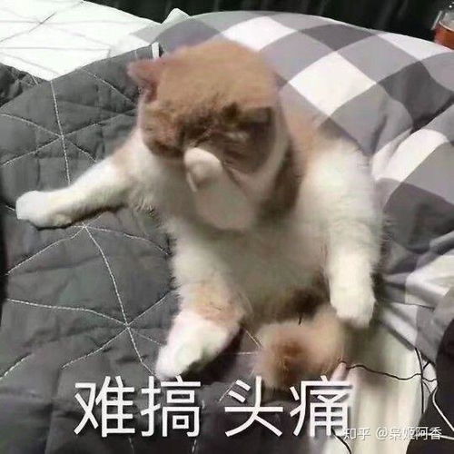  有好心肠但是嘴很毒的女孩子是不是不如有一个好人人设的女孩子