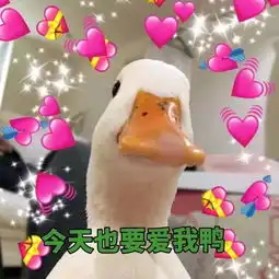 怎么现在的年轻人那么爱用鸭鸭 怎么现在的年轻人那么爱用鸭鸭
