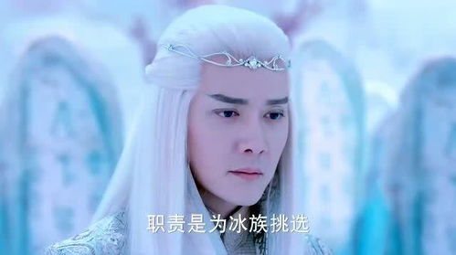  幻城为了冰族未来,哥哥必须当上冰王,不然弟弟就会死