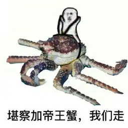 皮皮虾泥够了最想胖揍皮皮虾5大表情象拔蚌排第二谁排第一 皮皮虾泥够了最想胖揍皮皮虾5大表情象拔蚌排第二谁排第一