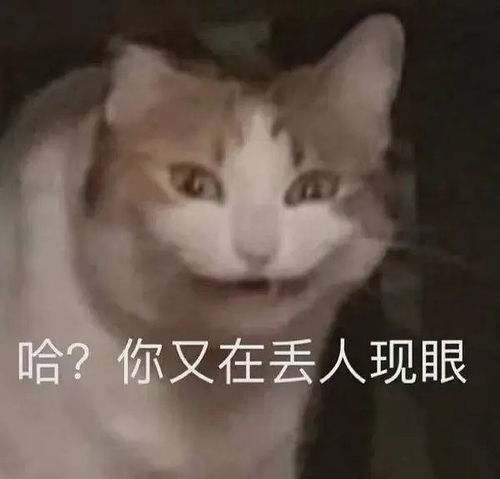 动图表情包生成雅思