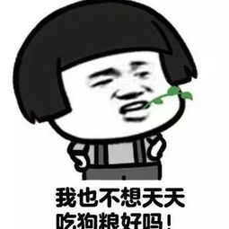  表情包搞笑头像集