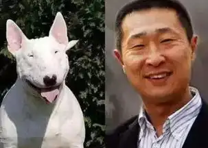 张艺兴式傲娇,刘青云式沉默,这些动物界的明星脸,也太像了吧 张艺兴式傲娇,刘青云式沉默,这些动物界的明星脸,也太像了吧