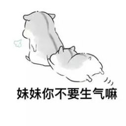 可爱仓鼠兄妹表情包 可爱仓鼠兄妹表情包