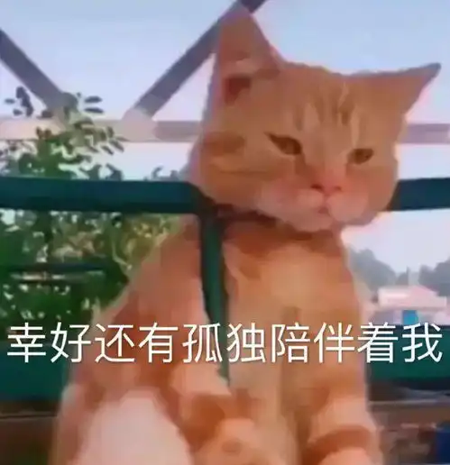 给花表情包沙雕