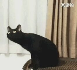  表情包大放送拿走不谢