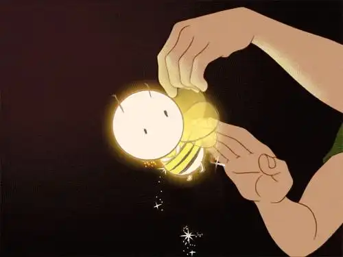 广州哪里有宠物店可以买到美短虎斑猫的 广州哪里有宠物店可以买到美短虎斑猫的