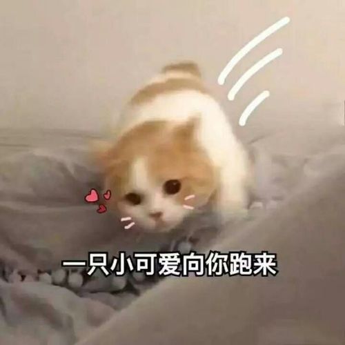  投影仪真的是卧室氛围感必备啊