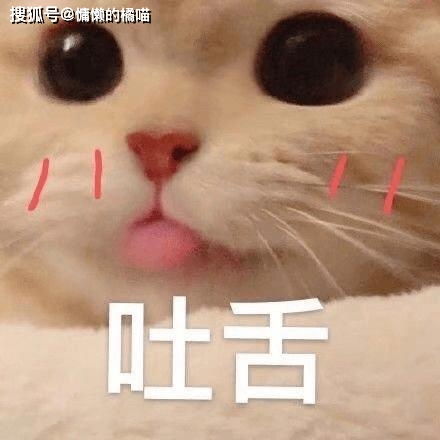  幽默橘喵不怕哥哥是海王,就怕同行遇同行