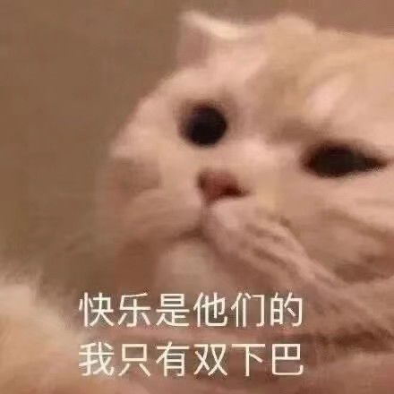  今日份表情包记在小本本上