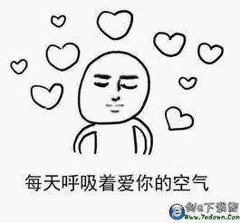 面对疾风吧表情包斗图表