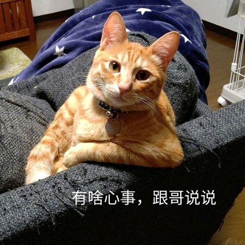 提高情商能让你更从容地生活