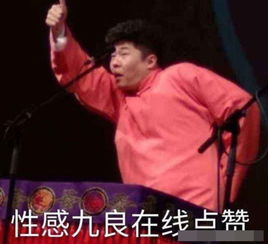  德云社的丑角,烧饼丑的把狗吓一跳,比起这几位岳云鹏都是好看的