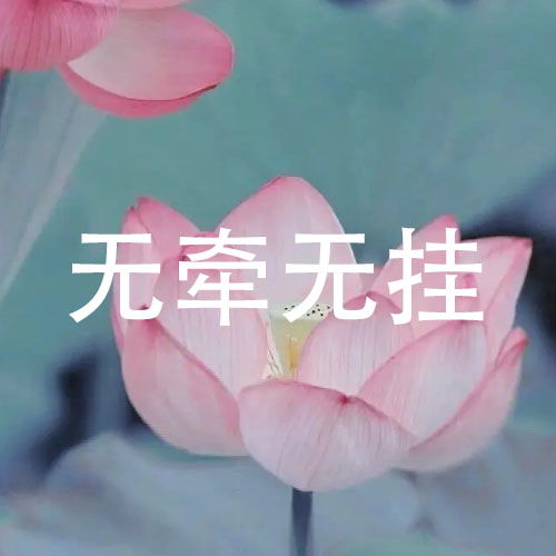 微信头像荷花并配字荷花头像带字佛系静心 微信头像荷花并配字荷花头像带字佛系静心