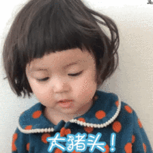  罗熙骂人表情包动图合集笨蛋,大猪头