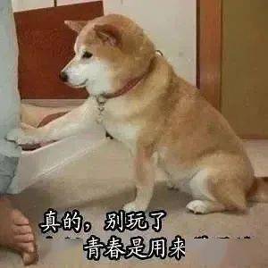  第46期汪表情我上辈子是造了什么孽,遇上你这个沙雕