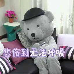 tfboy表情包负鼠