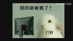  就你tm叫宇智波鼬
