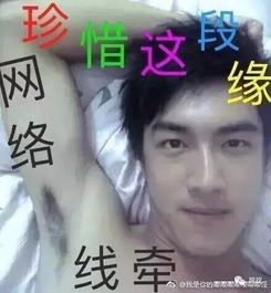  土味情话,你不爱就拉倒