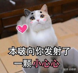 全切双眼皮修复宽修窄的原理是什么 全切双眼皮修复宽修窄的原理是什么